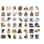 10/30/50PCS Kawaii Cat Mood PVC Graffiti Sticker Sticky Aesthetic Decorative Scrapbook DIY Child Phone Stationery Supply for Kid