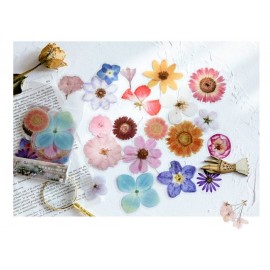 40pcs/bag Vintage Ginkgo leaves flowers PET sticker package DIY diary decoration sticker album scrapbooking