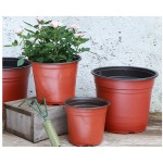50/20pcs Plastic Flowerpots Simple Nursery Seedling Pot Flowers Seed Breeding Planters Container Box Garden Supplies Tool