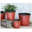 50/20pcs Plastic Flowerpots Simple Nursery Seedling Pot Flowers Seed Breeding Planters Container Box Garden Supplies Tool