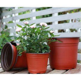50/20pcs Plastic Flowerpots Simple Nursery Seedling Pot Flowers Seed Breeding Planters Container Box Garden Supplies Tool