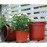 50/20pcs Plastic Flowerpots Simple Nursery Seedling Pot Flowers Seed Breeding Planters Container Box Garden Supplies Tool