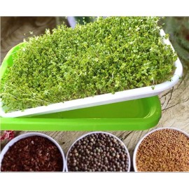 Seed Sprouter Tray Double Layer Soilless Bean Culture Hydroponic Nursery Plate Sprouting Pot Planter Garden Home Plastic Tool
