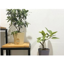 Detachable Bottom Flower Pot Removable Bottom Light Blue Round Flower Pot Home Supplies Multicolor Flowerpot Flowerpot Khaki