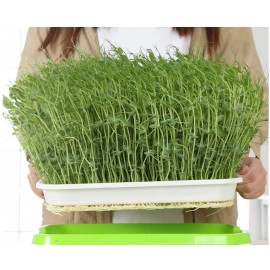 Seed Sprouter Tray Double Layer Soilless Bean Cult..