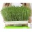 Seed Sprouter Tray Double Layer Soilless Bean Culture Hydroponic Nursery Plate Sprouting Pot Planter Garden Home Plastic Tool